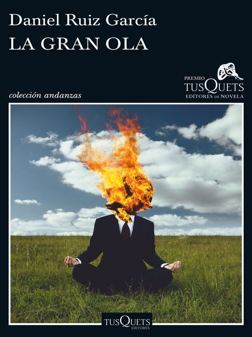 Title details for La gran ola by Daniel Ruiz - Available